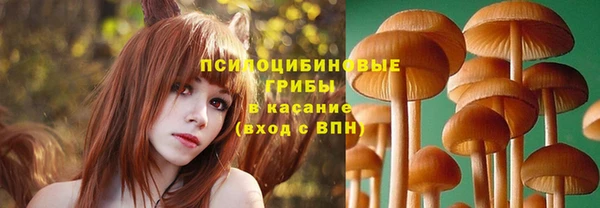 альфа пвп Беломорск